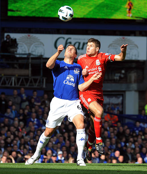 幽默色彩的 幽默色彩的